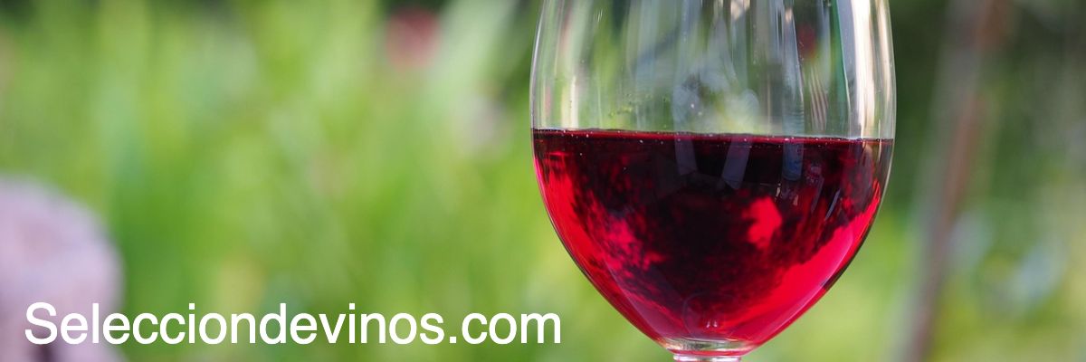 selecciondevinos.com